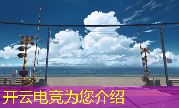kaiyun·开云电竞为您介绍：怎样评论电竞赛事的人